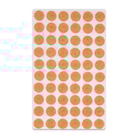 Vaccaria-Kräutersamen mit rundem Aufkleber (300 Stück)